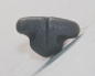 Preview: Sicherheitsnase 15 mm x 9,5 mm Katze hart grau mit Sicherheitsscheibe