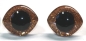 Preview: 1 Paar Sicherheitsaugen geschwungen transparent durchgefärbt klar mit Glitter karamell 23 mm x 20 mm