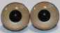 Preview: 1 Paar Sicherheitsaugen 20 mm kleine runde Pupillen zartbeige schimmernd verschiedenfarbige Iris