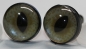 Preview: 1 Paar Sicherheitsaugen 12 mm mittlere geschlitzte Pupillen beige schimmernd verschiedenfarbige Iris