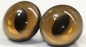 Preview: 1 Paar Sicherheitsaugen 30 mm hellbraun schimmernd Katze Drache
