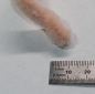 Preview: 1 Stück Biegeplüsch 1 m lang Chenilledraht 8 mm Durchmesser lachs