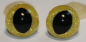Preview: Katzenaugen Drachenaugen Glitzer Glitter Goldgelb_2