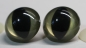 Preview: 1 Paar Katzenaugen Drachenaugen 30 mm Sicherheitsaugen Citrine gold metallic