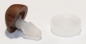 Preview: Sicherheitsnase 13 mm x 12 mm Hund Soft braun Softnase mit Sicherheitsscheibe