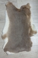 Preview: Kaninchenfell Rexkanin hellgrau braun beige Nr. 58