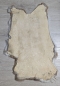 Preview: Kaninchenfell Rexkanin hellgrau braun beige Nr. 58
