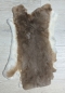 Preview: Kaninchenfell Rexkanin hellgrau braun beige Nr. 73