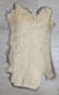 Preview: Kaninchenfell Rexkanin hellgrau braun beige Nr. 73