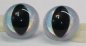 Preview: Sicherheitsaugen Katze Drache Unikat Mirror Chrome rainbow 30 mm