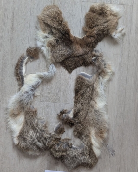 Kaninchenfellreste wie auf den Fotos zu sehen Nr. 08