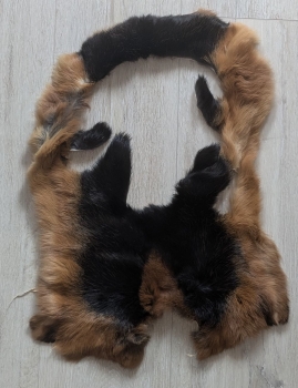 Kaninchenfellreste wie auf den Fotos zu sehen Nr. 11