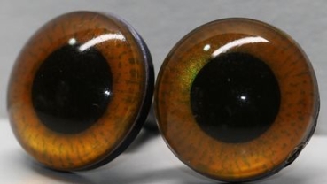 1 Paar Sicherheitsaugen 18 mm mittelgroße runde Pupillen kupfergold schimmernd verschiedenfarbige Iris