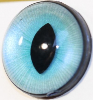 1 Paar Sicherheitsaugen 18 mm mittlere geschlitzte Pupillen türkisblau schimmernd verschiedenfarbige Iris