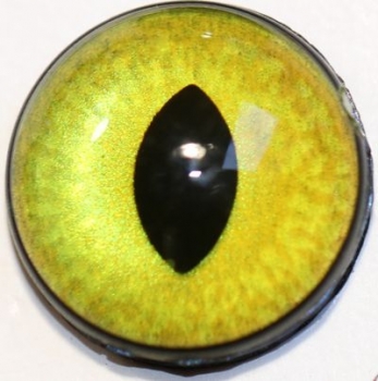 1 Paar Sicherheitsaugen 18 mm mittlere geschlitzte Pupillen goldgrün schimmernd verschiedenfarbige Iris