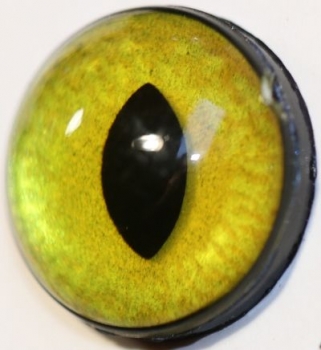1 Paar Sicherheitsaugen 18 mm mittlere geschlitzte Pupillen goldgrün schimmernd verschiedenfarbige Iris