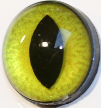 1 Paar Sicherheitsaugen 18 mm große geschlitzte Pupillen goldgrün schimmernd verschiedenfarbige Iris
