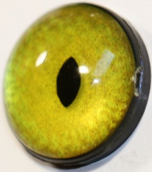 1 Paar Sicherheitsaugen 18 mm sehr kleine geschlitzte Pupillen goldgrün schimmernd verschiedenfarbige Iris