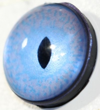 1 Paar Sicherheitsaugen sehr kleine geschlitzte Pupillen zartblau schimmernd verschiedenfarbige Iris