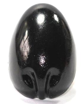 Sicherheitsnase 20 mm x 27 mm Koala hart schwarz glänzend mit Sicherheitsscheibe