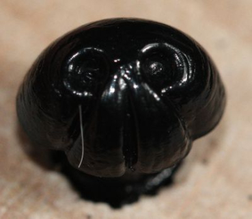 Sicherheitsnase 8 mm x 6 mm Hund hart schwarz glänzend mit Sicherheitsscheibe