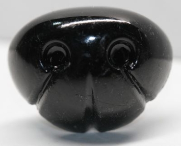 Sicherheitsnase 19 mm x 23 mm Hund hart schwarz glänzend mit Sicherheitsscheibe