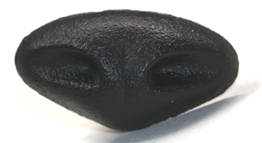 Sicherheitsnase 28 mm x 15 mm Gazelle hart schwarz mit Sicherheitsscheibe