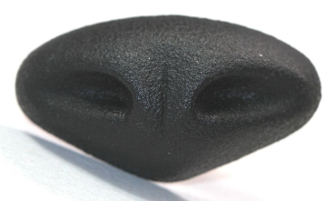 Sicherheitsnase 36 mm x 19,5 mm Gazelle hart schwarz mit Sicherheitsscheibe
