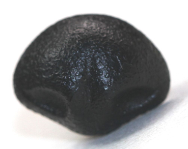 Sicherheitsnase 14 mm x 11 mm Wombat hart schwarz mit Sicherheitsscheibe