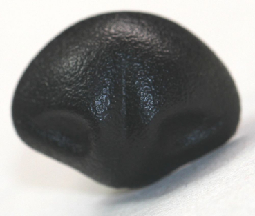 Sicherheitsnase 20 mm x 15 mm Wombat hart schwarz mit Sicherheitsscheibe