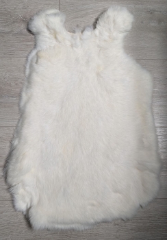Kaninchenfell weiß Nr. 33