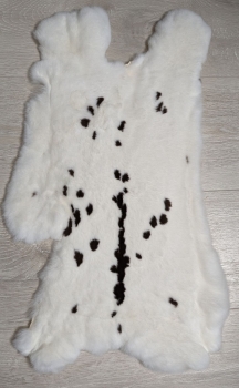 Kaninchenfell Rexkanin weiß mit schwarzen Flecken Nr. 1