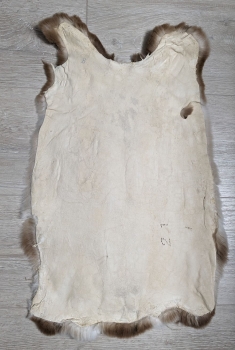 Kaninchenfell Rexkanin Gelbrex Nr. 8