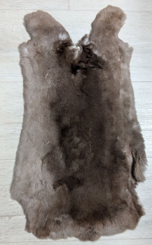 Kaninchenfell Rexkanin braun Nr. 104
