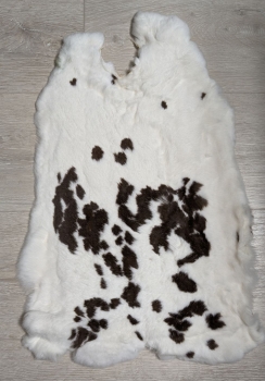 Kaninchenfell Rexkanin weiß mit braunen Flecken Nr. 12