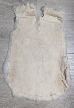Kaninchenfell Rexkanin Dalmatiner Nr. 29