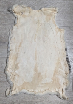 Kaninchenfell Rexkanin Dalmatiner Nr. 30