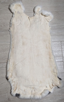Kaninchenfell Rexkanin Dalmatiner Nr. 34