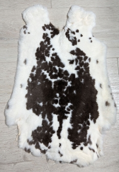 Kaninchenfell Rexkanin weiß mit braunen Flecken Nr. 41