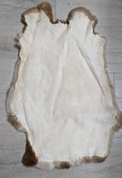 Kaninchenfell Rexkanin Gelbrex Nr. 44