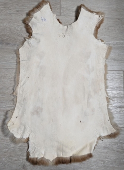 Kaninchenfell Rexkanin Gelbrex Nr. 46