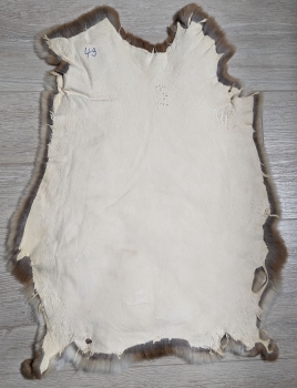 Kaninchenfell Rexkanin Gelbrex Nr. 49