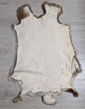 Kaninchenfell Rexkanin Gelbrex Nr. 51