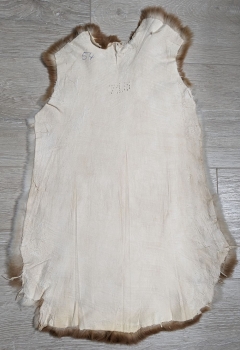Kaninchenfell Rexkanin Gelbrex Nr. 54