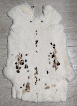 Kaninchenfell Rexkanin weiß mit schwarzen und braunen Flecken Nr. 55