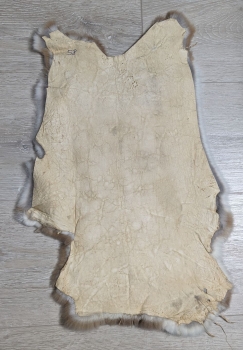 Kaninchenfell Rexkanin hellgrau braun beige Nr. 58