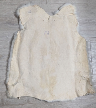 Kaninchenfell Rexkanin weiß Nr. 59