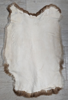 Kaninchenfell Rexkanin Gelbrex Nr. 62