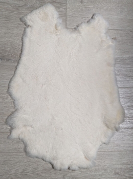 Kaninchenfell Rexkanin weiß Nr. 63
