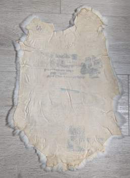 Kaninchenfell Rexkanin weiß Nr. 63